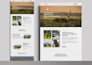 do professional website design or mobile app design in figma